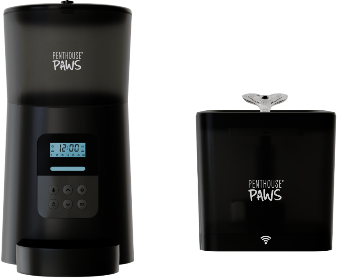 An application scenario or product detail of automatic cat feeder and water fountain - Image 3