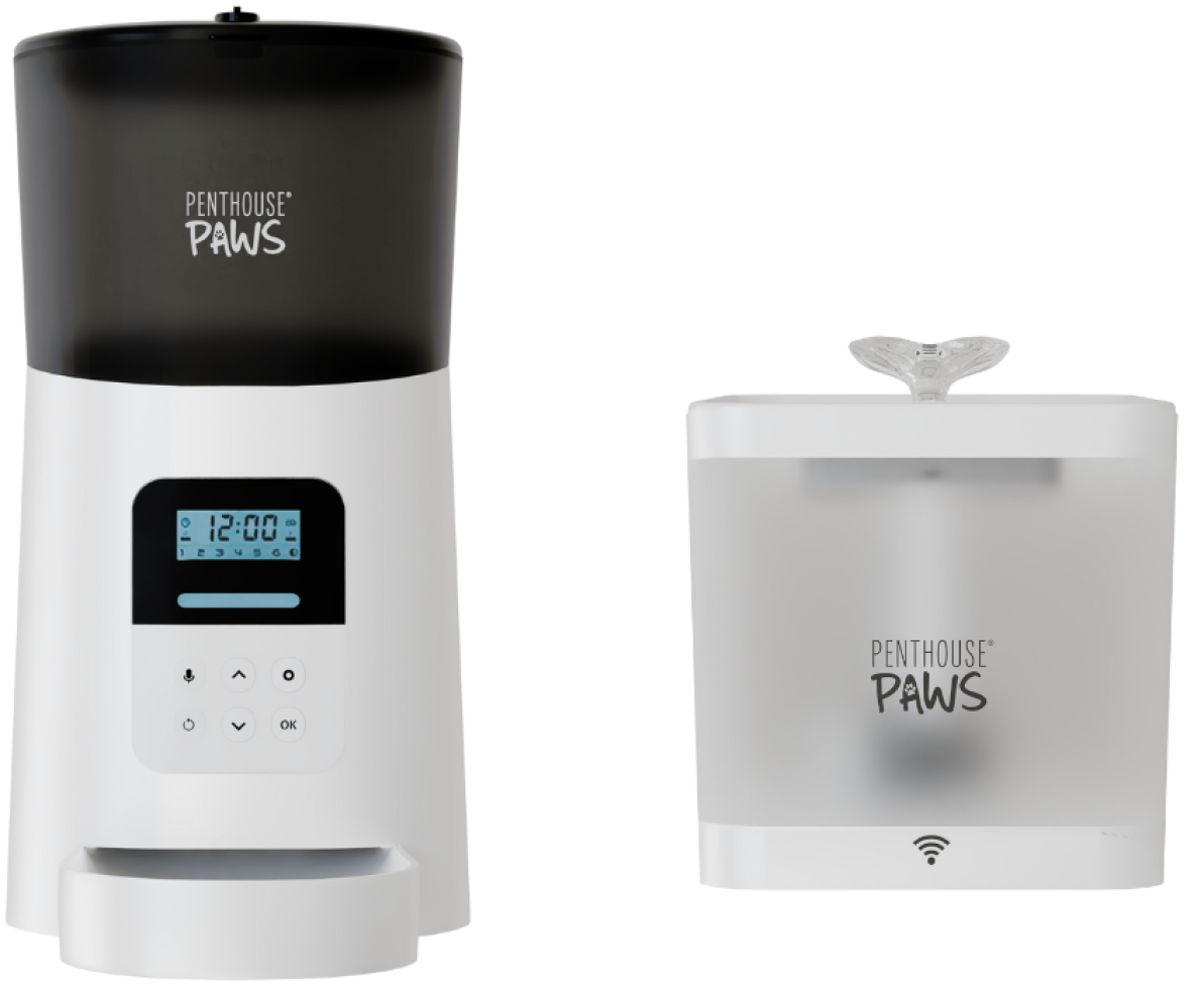 An application scenario or product detail of automatic cat feeder and water fountain - Image 9