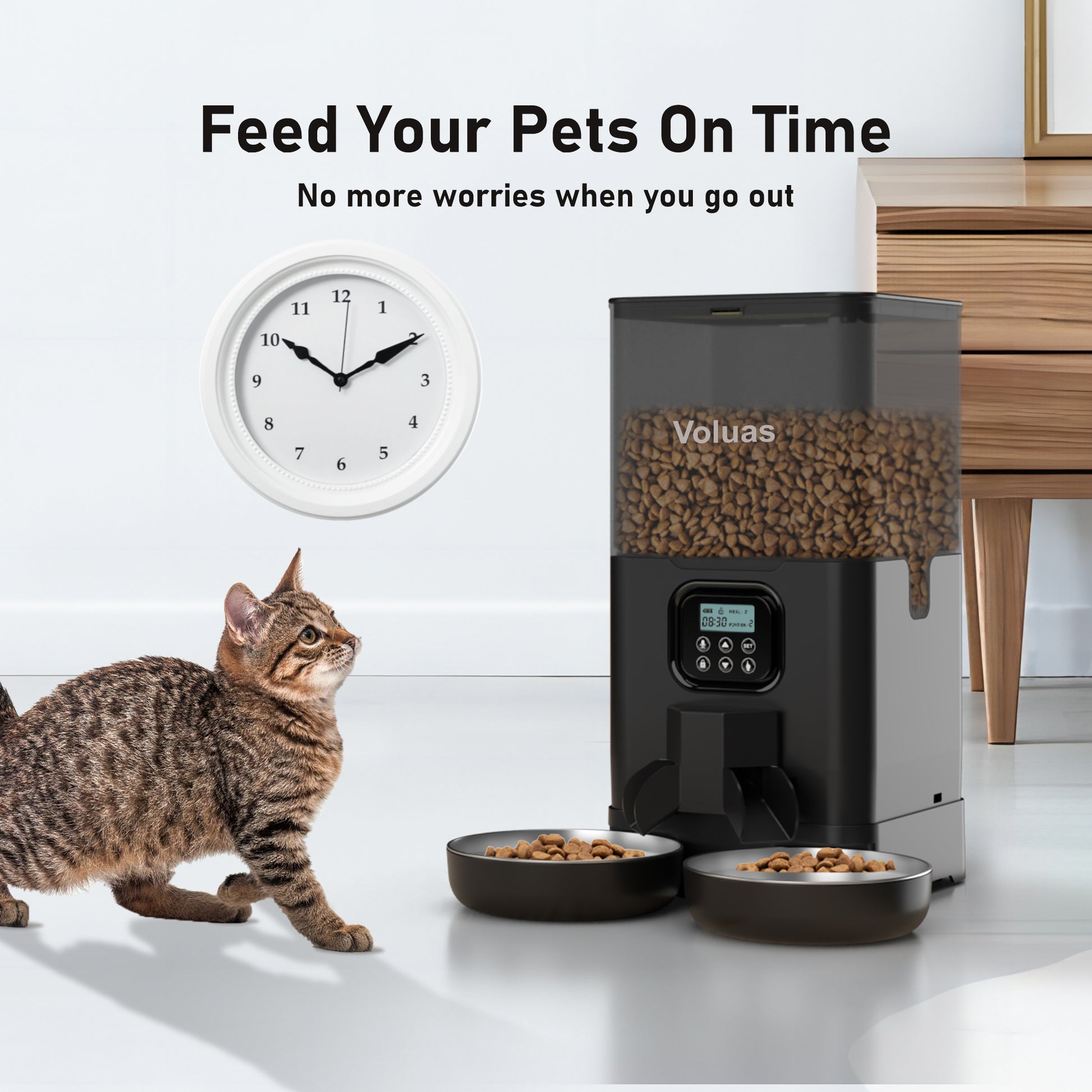 An application scenario or product detail of automatic cat feeder double - Image 6