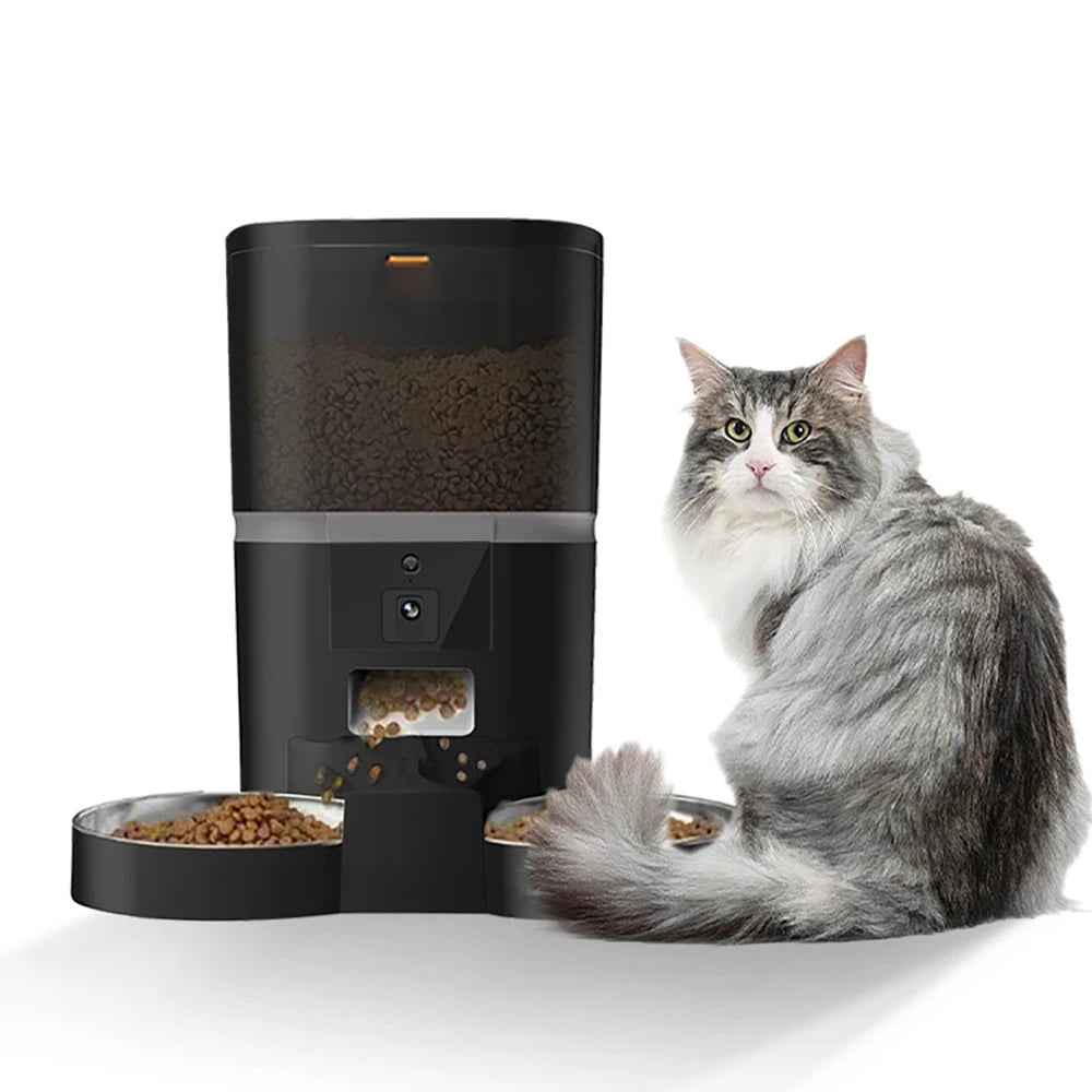 An application scenario or product detail of automatic cat feeder double - Image 16