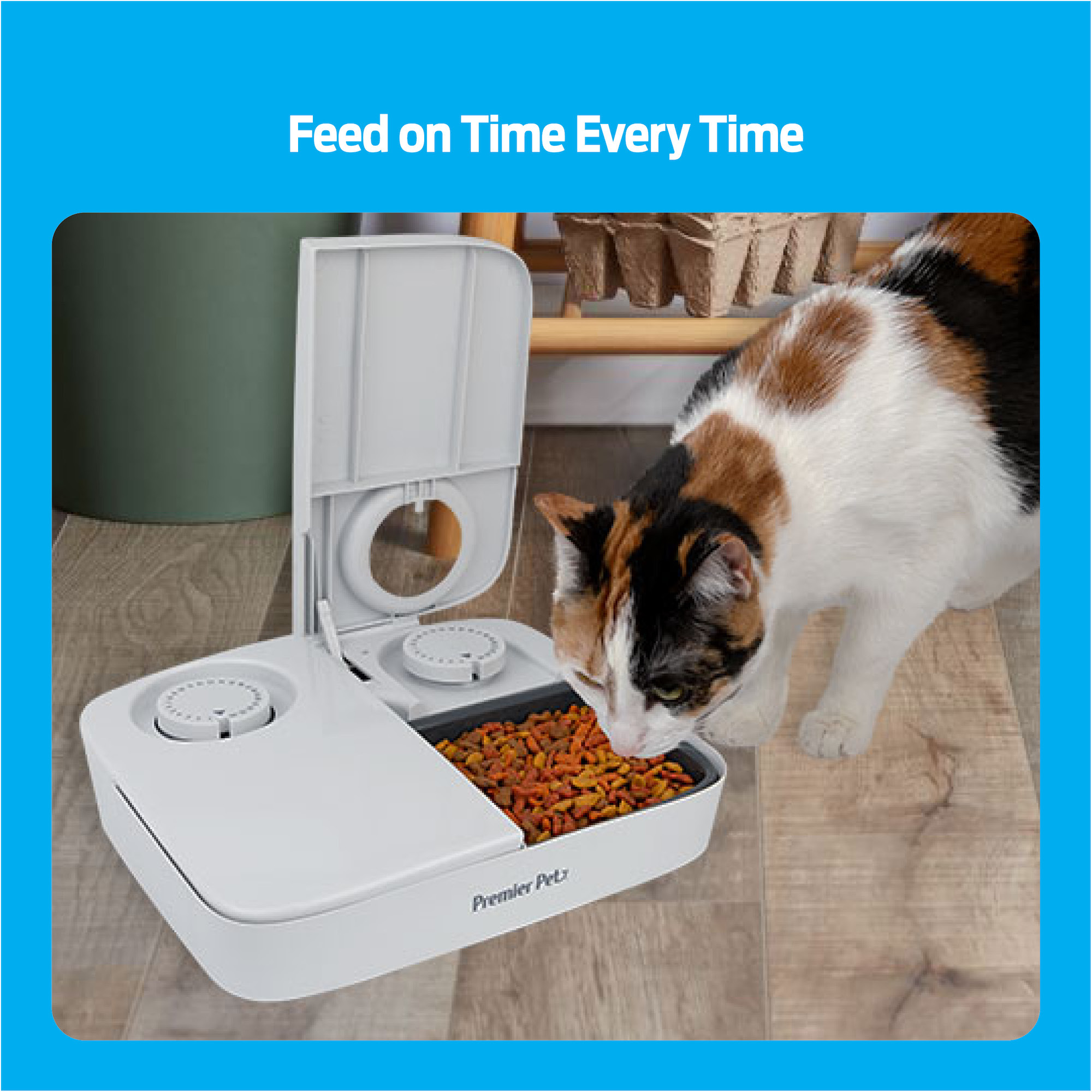 An application scenario or product detail of automatic cat feeder on timer - Image 16