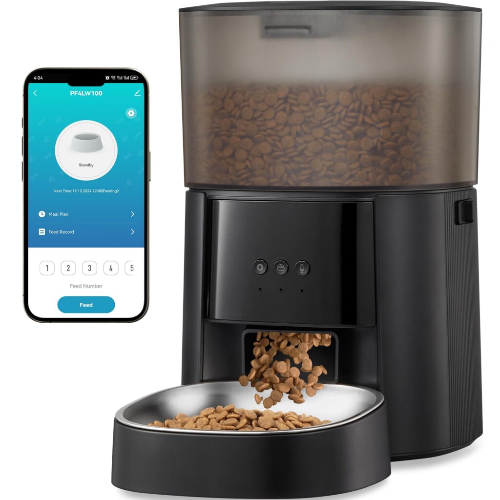 Featured image for the automatic cat feeder on timer guide