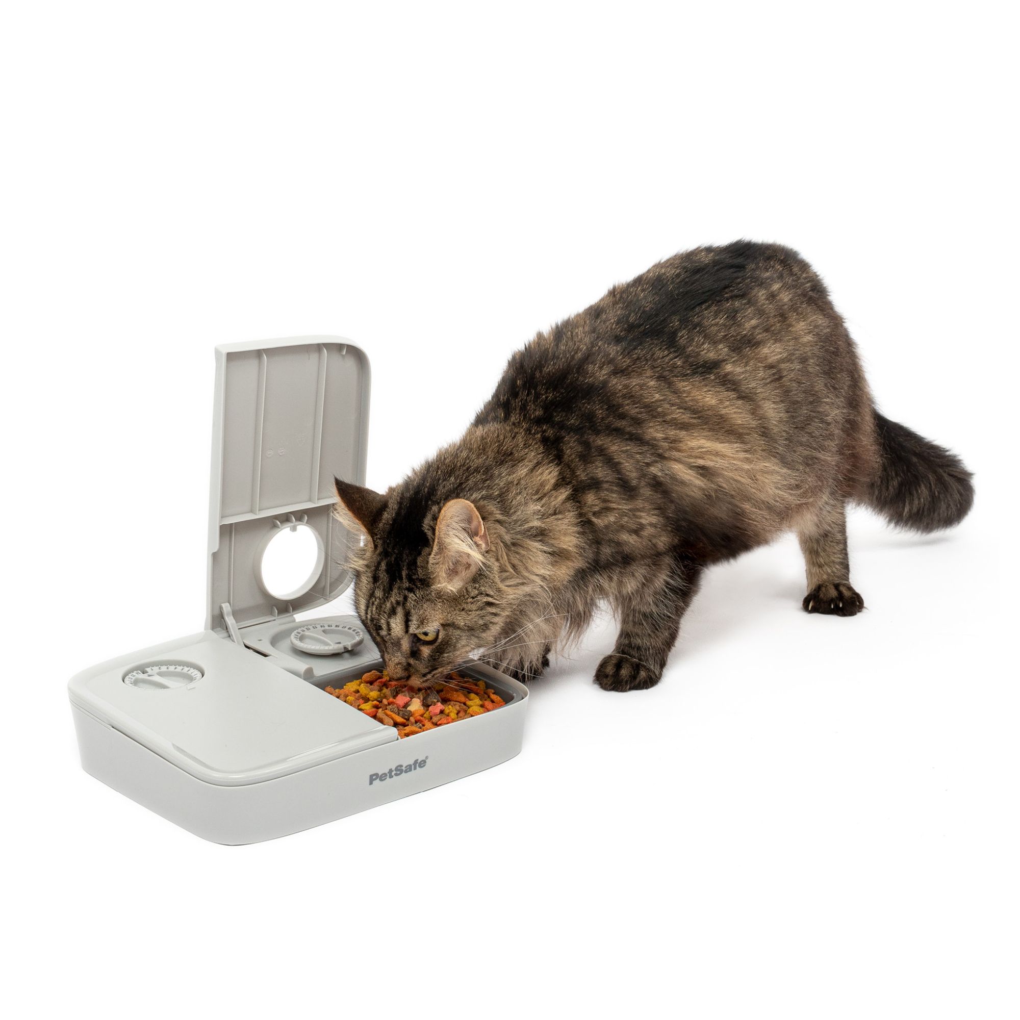 An application scenario or product detail of automatic cat feeder petsmart - Image 4