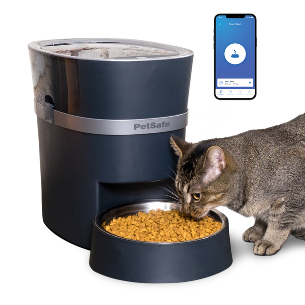 An application scenario or product detail of automatic cat feeder petsmart - Image 13