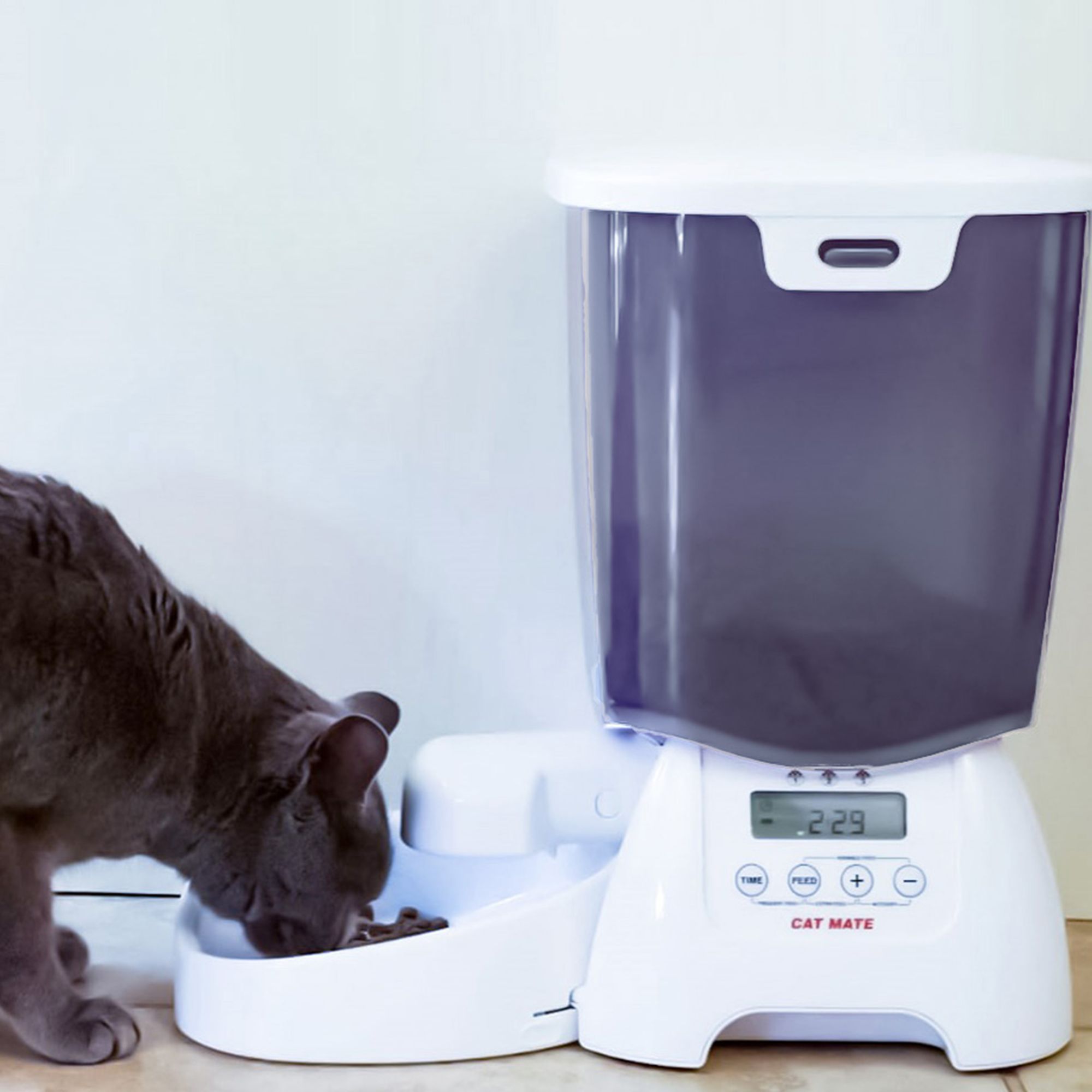 An application scenario or product detail of automatic cat feeder petsmart - Image 17
