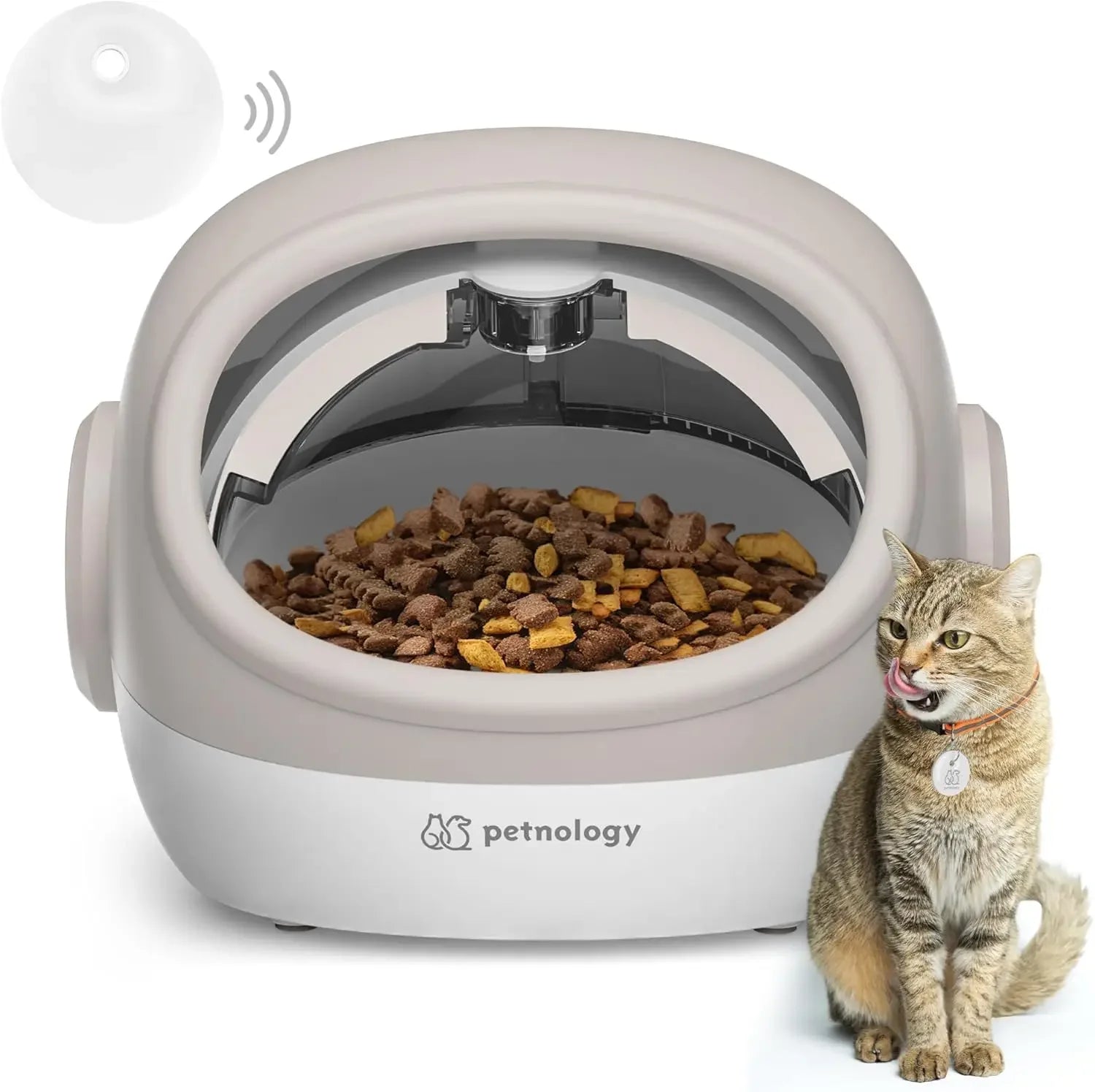An application scenario or product detail of automatic cat feeder with sensor - Image 10