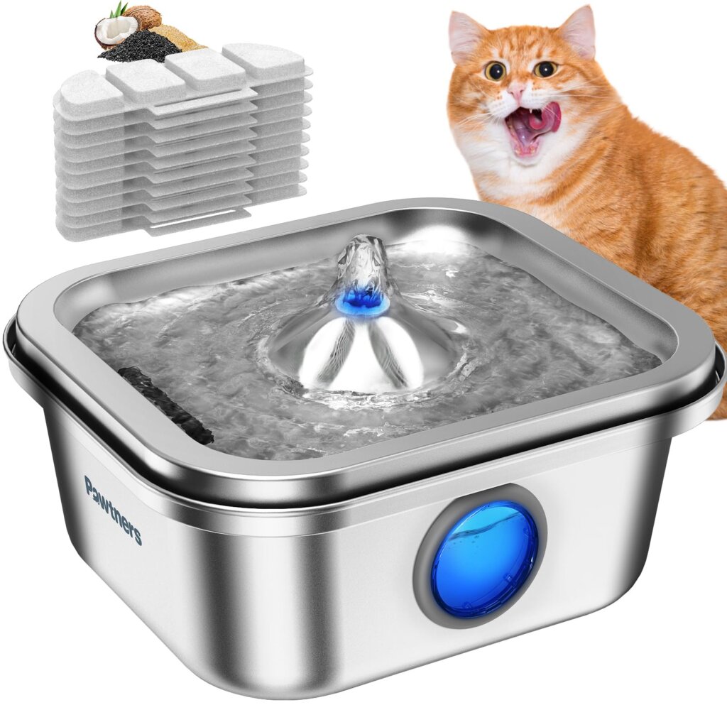 Featured image for the automatic cat water bowl guide