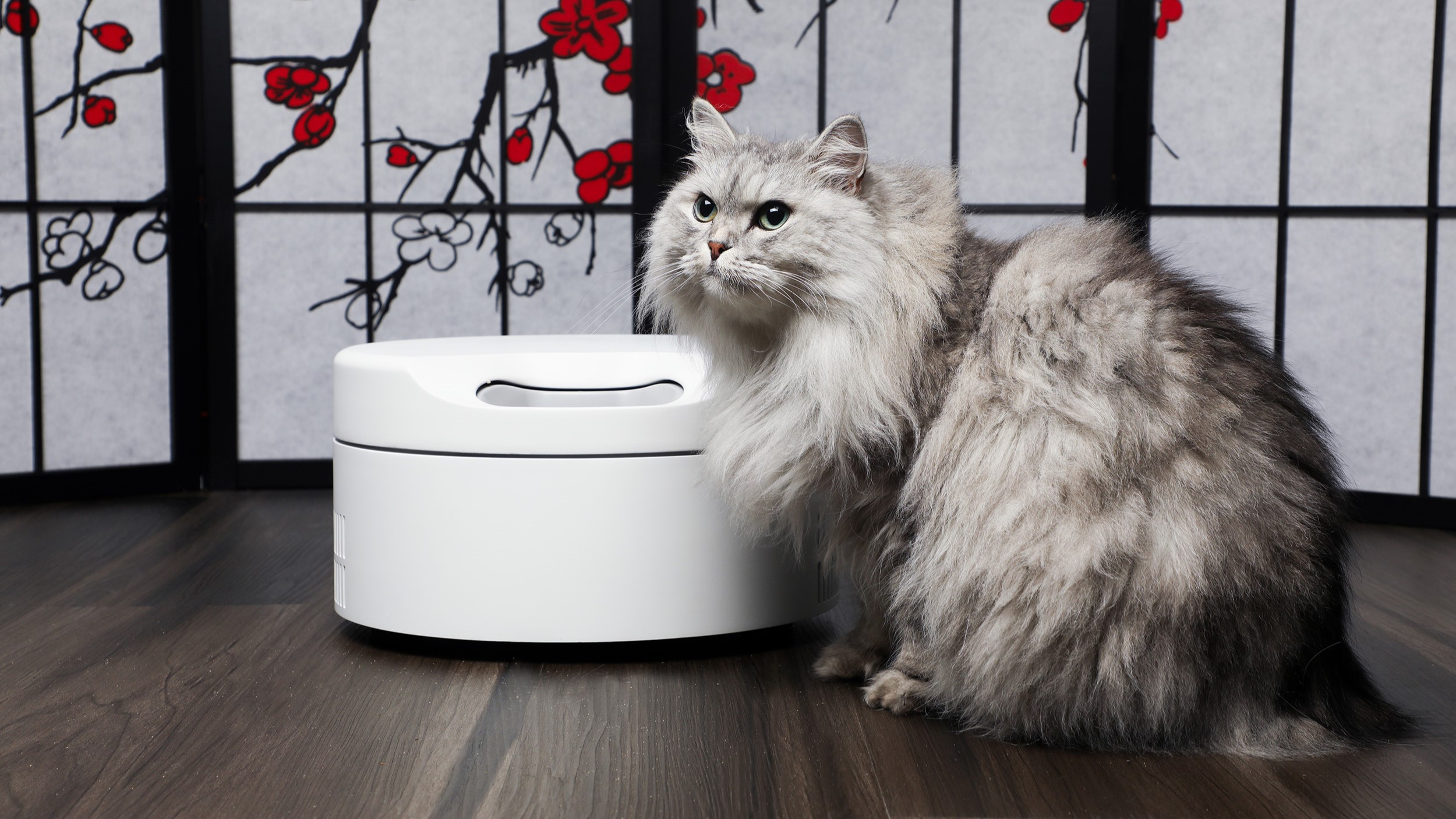 An application scenario or product detail of automatic cat wet food - Image 9