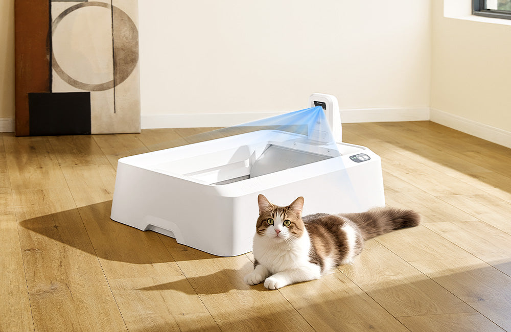 An application scenario or product detail of automatic cat wet food - Image 16