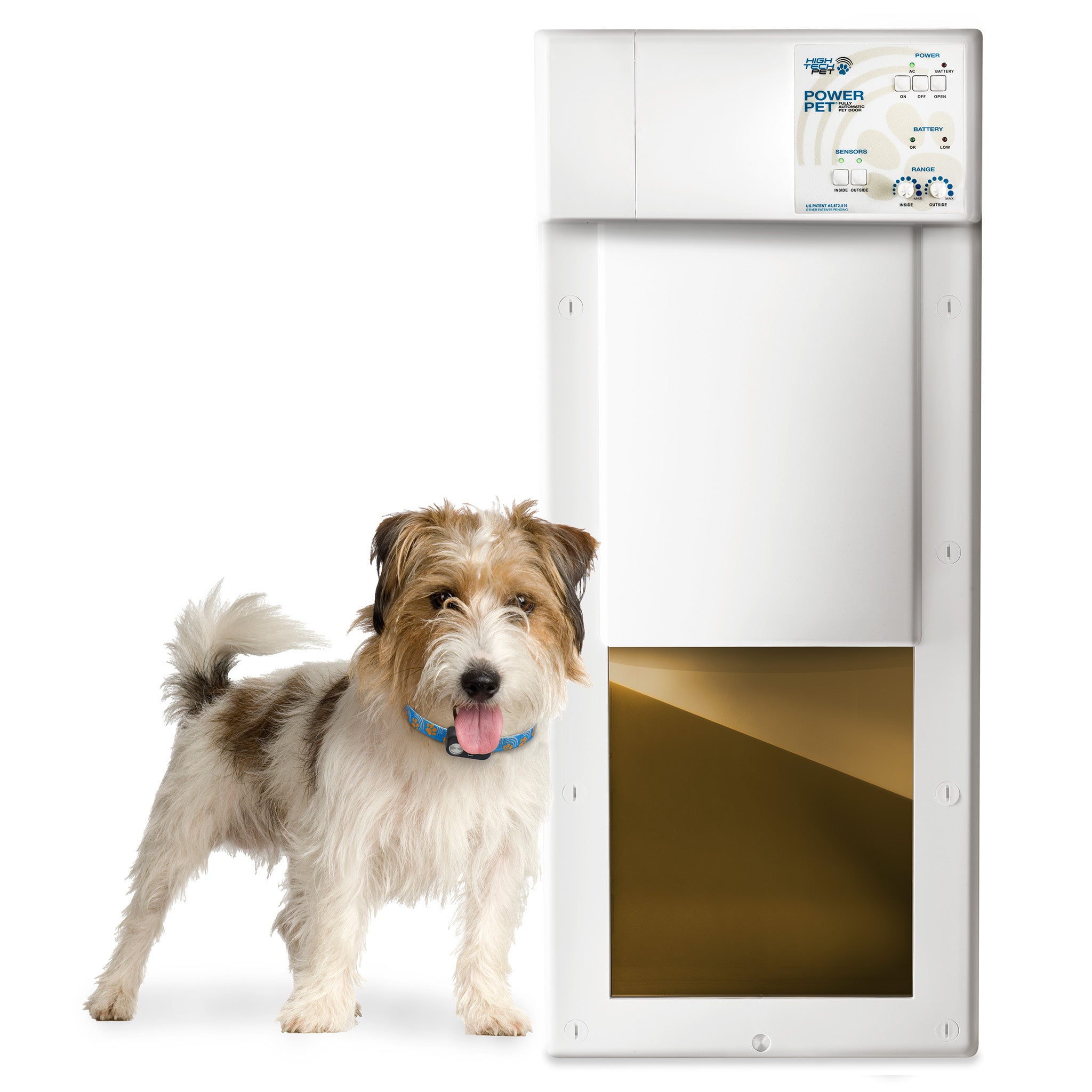 An application scenario or product detail of automatic dog - Image 21