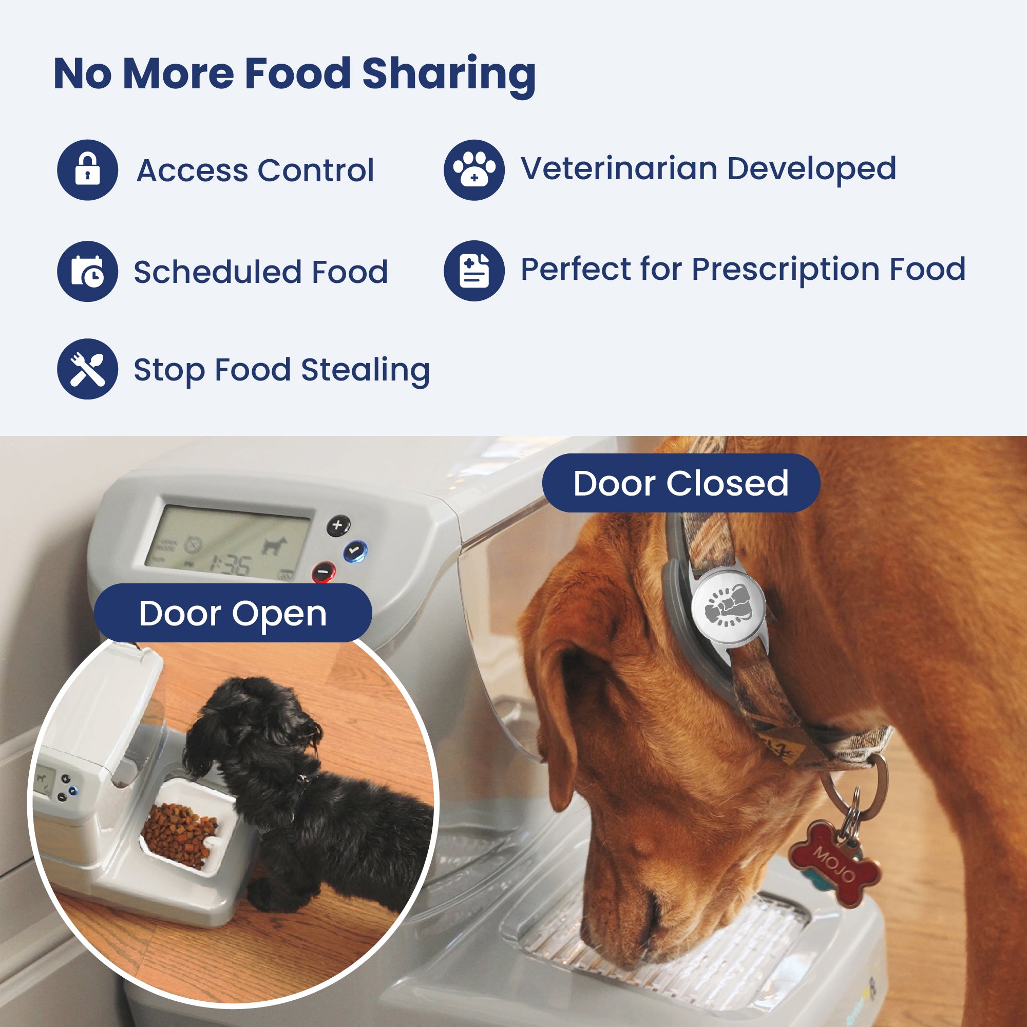 An application scenario or product detail of automatic dog bowl feeder - Image 9