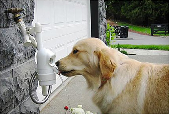 An application scenario or product detail of automatic dog drinking fountain - Image 3