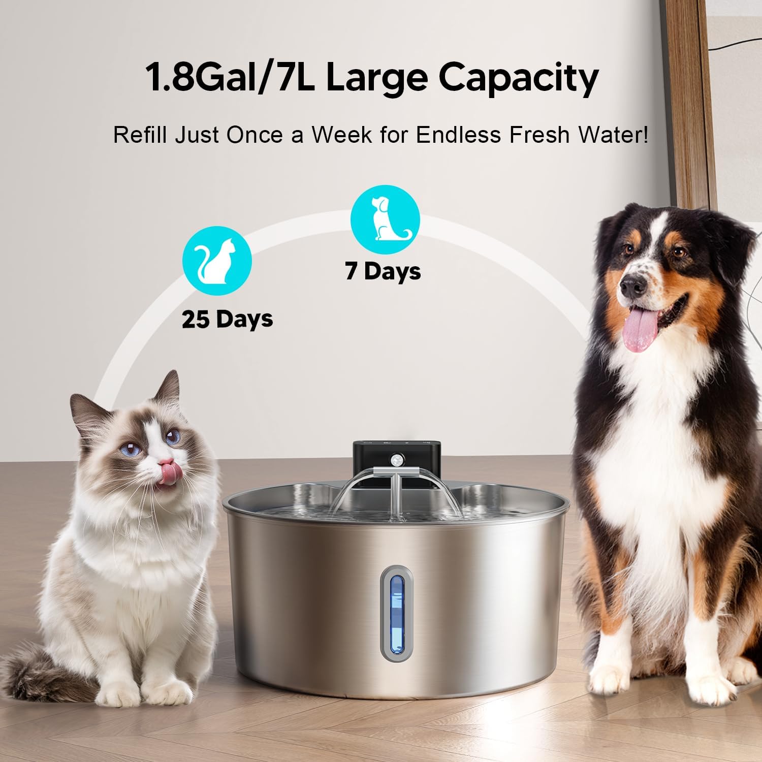 An application scenario or product detail of automatic dog drinking fountain - Image 20
