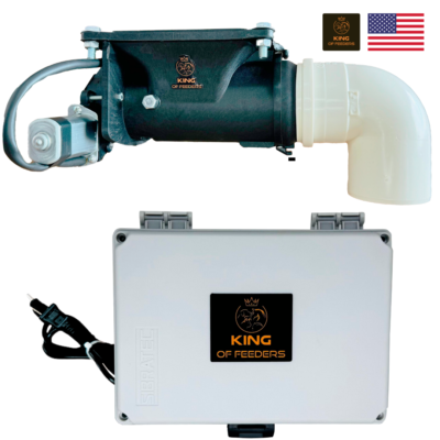 Featured image for the automatic dog feeder on timer guide