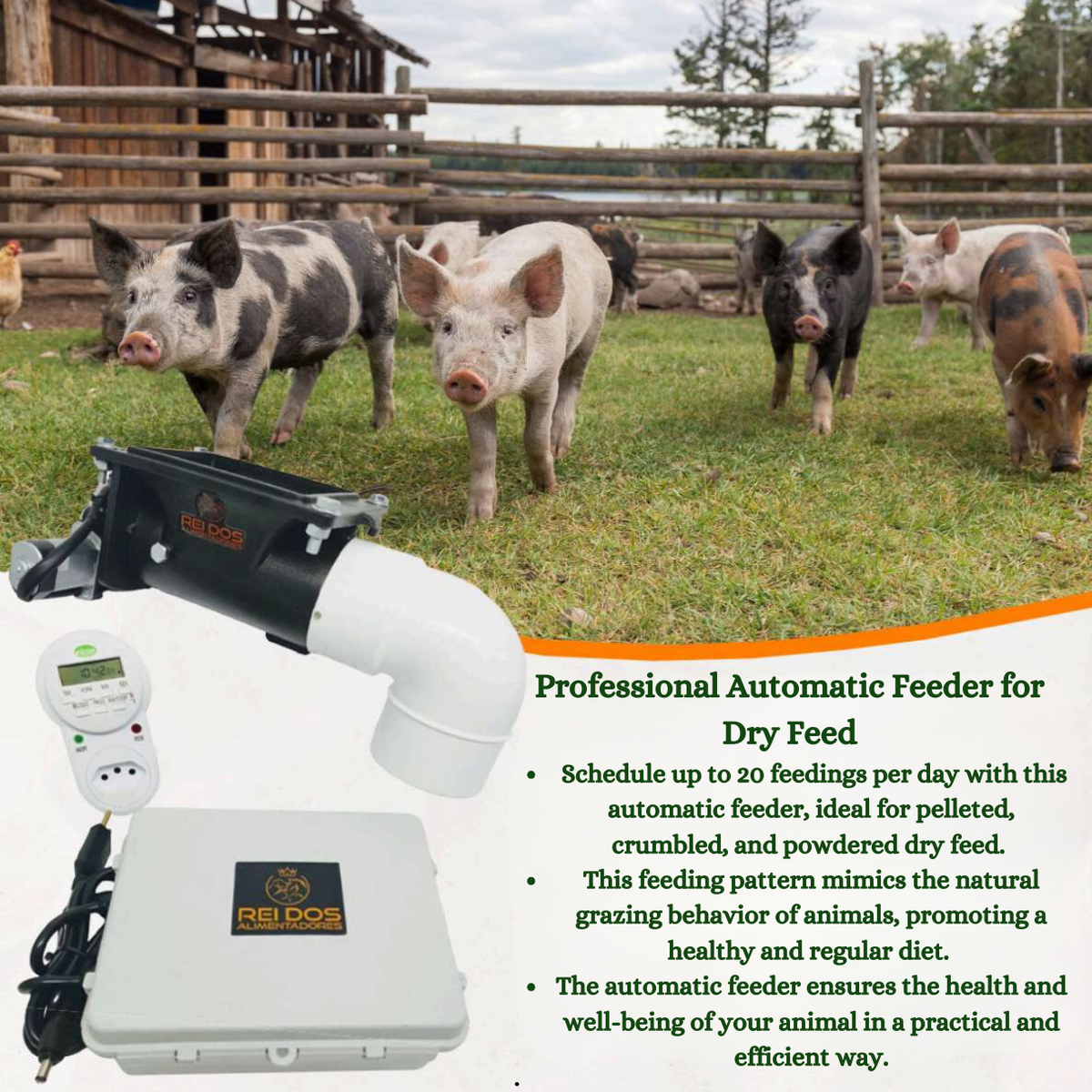 An application scenario or product detail of automatic feeder for guinea pigs - Image 7