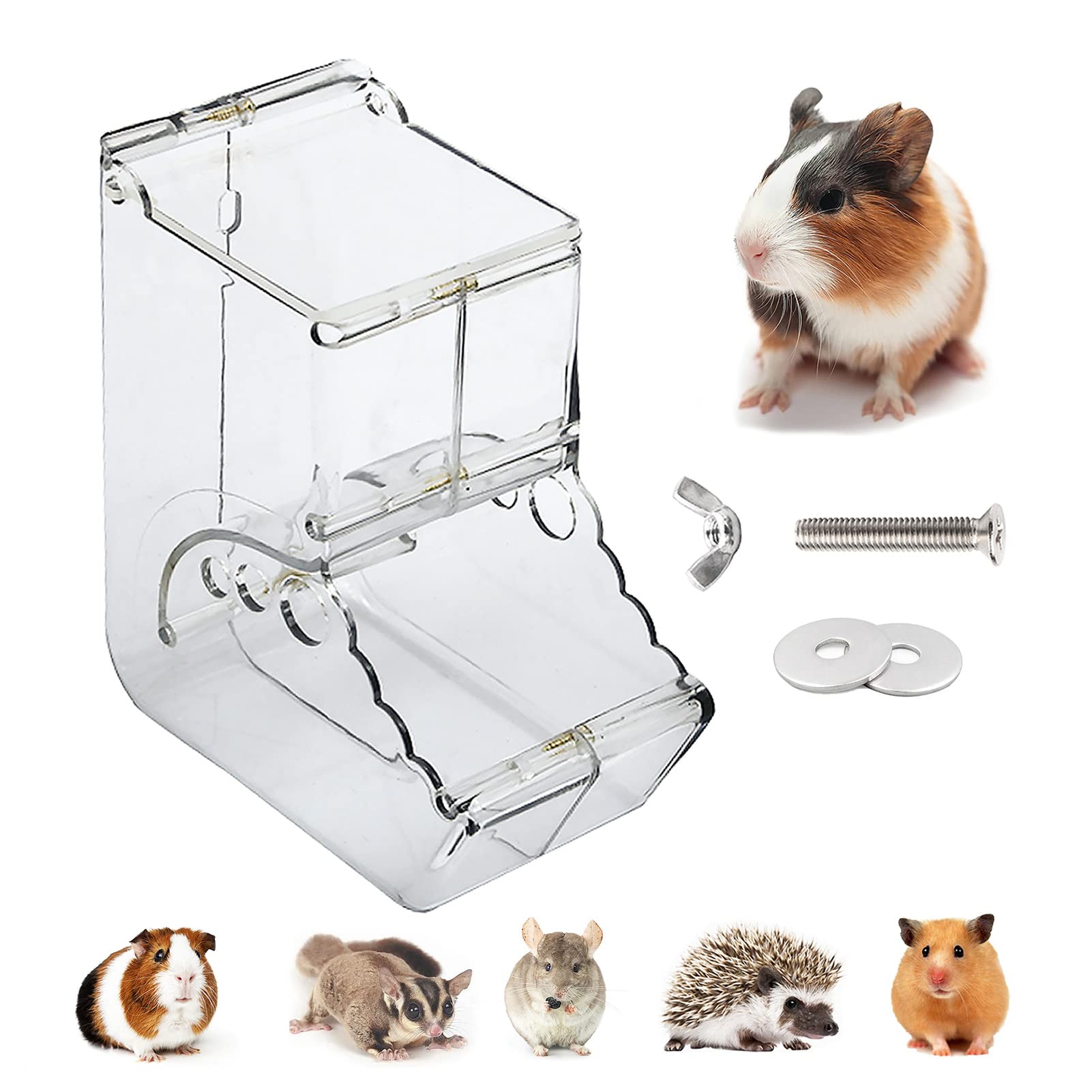 An application scenario or product detail of automatic feeder for guinea pigs - Image 12