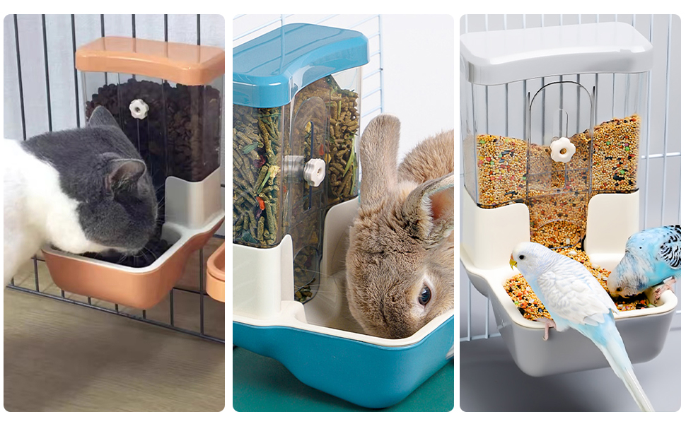 An application scenario or product detail of automatic feeder for guinea pigs - Image 22