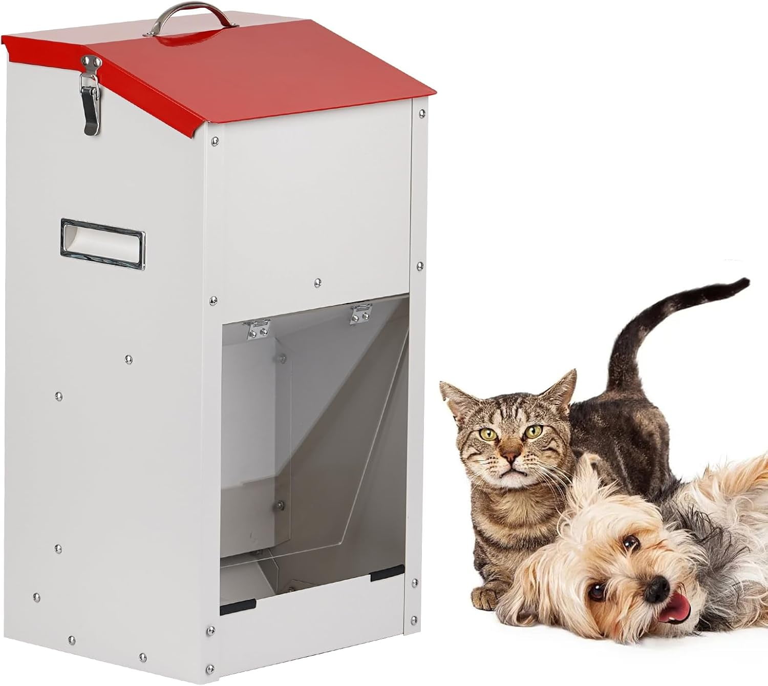 An application scenario or product detail of automatic feeder for large dogs - Image 14