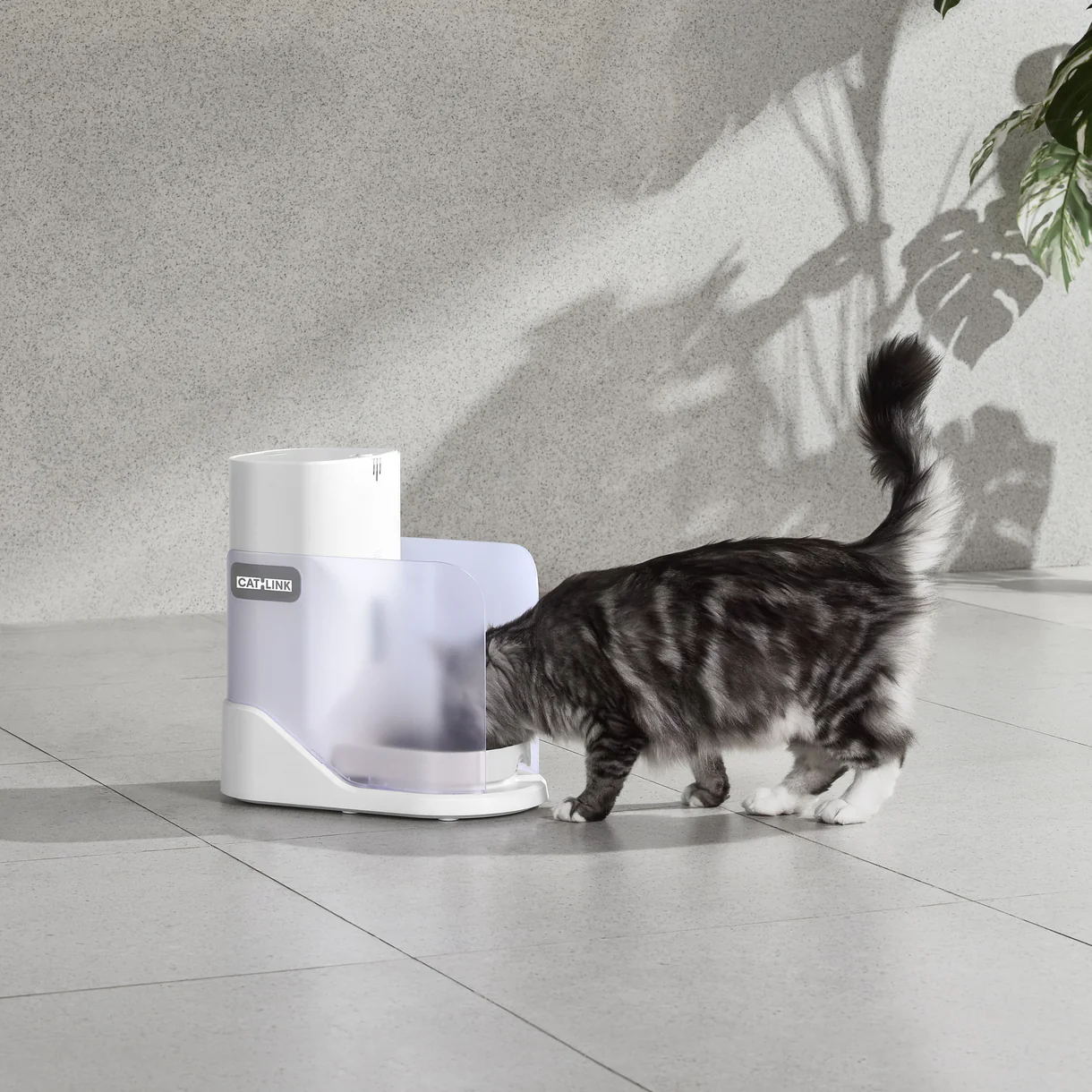An application scenario or product detail of automatic multi cat feeder - Image 11