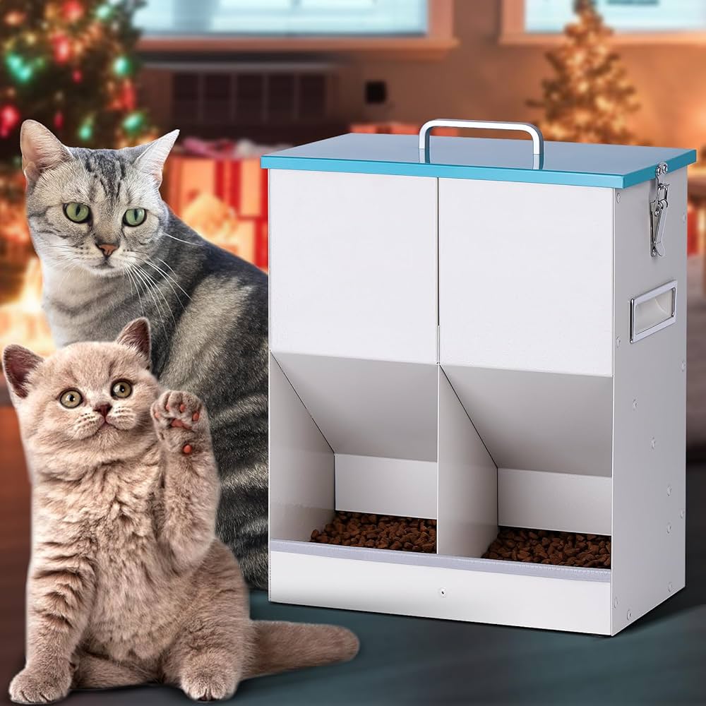 Featured image for the automatic outdoor cat feeder guide
