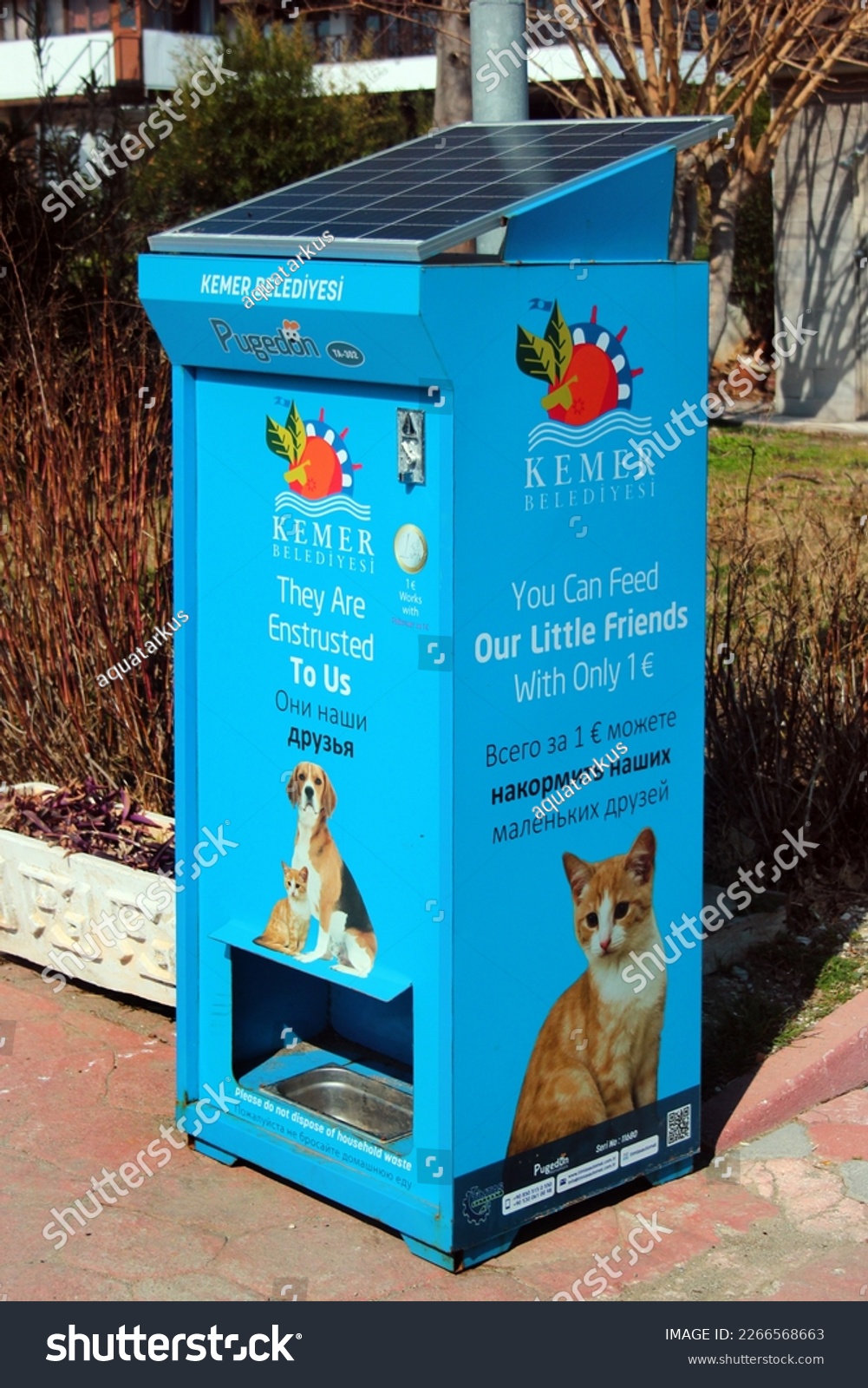 An application scenario or product detail of automatic outdoor pet feeder - Image 10