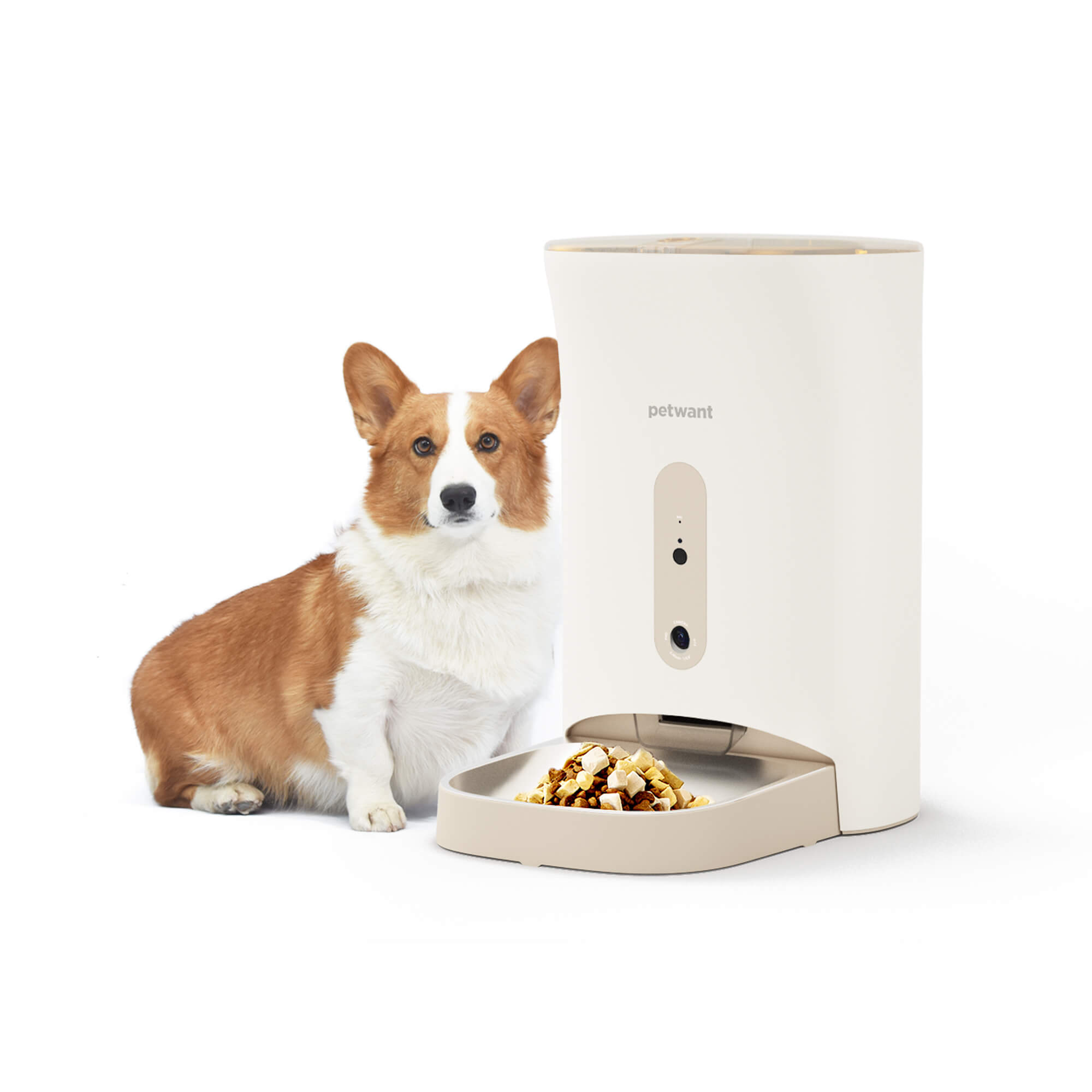 An application scenario or product detail of automatic outdoor pet feeder - Image 21