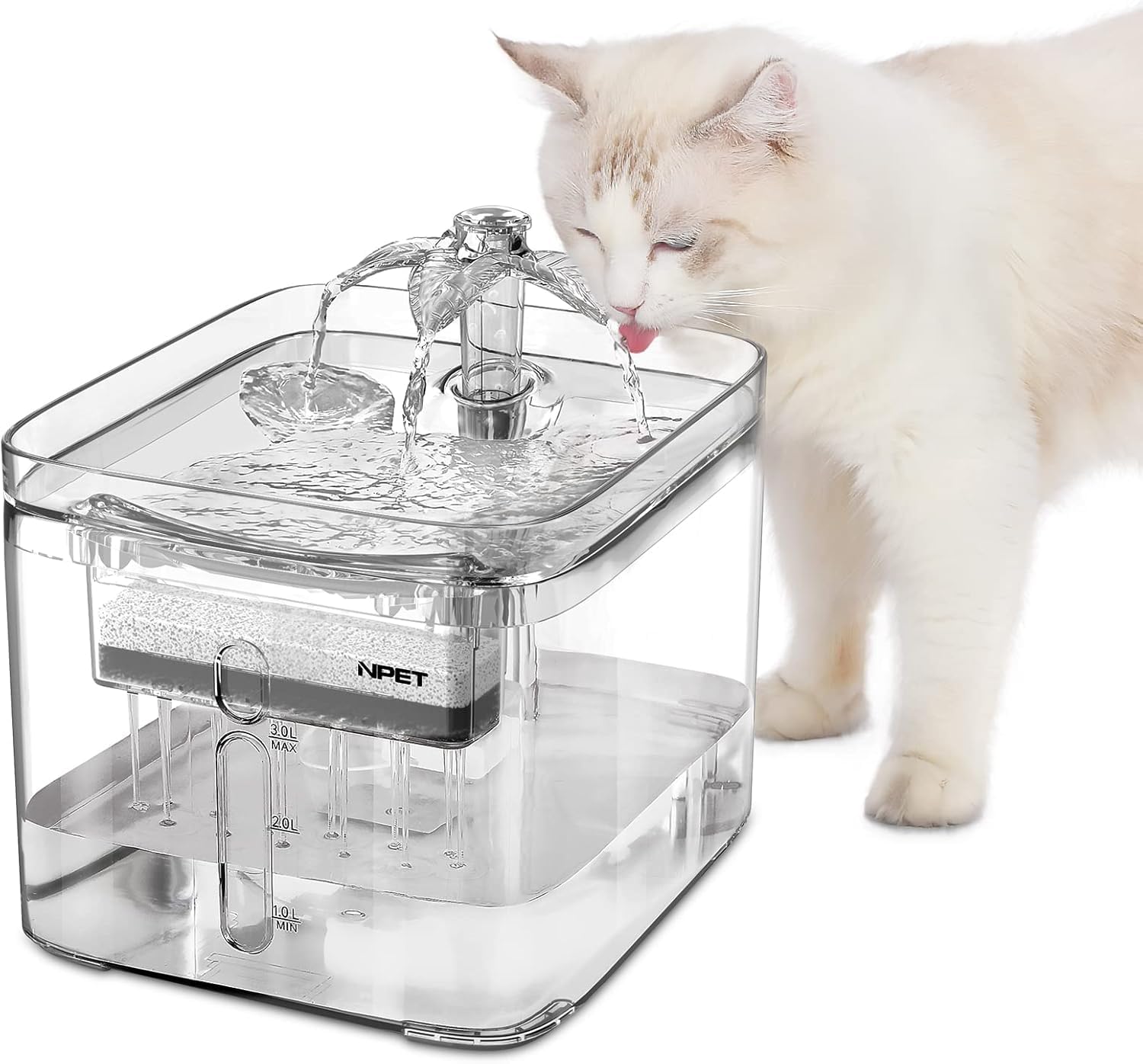 An application scenario or product detail of automatic pet drinking fountain - Image 8