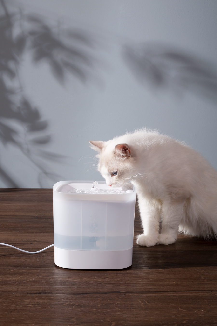 An application scenario or product detail of automatic pet drinking fountain - Image 24