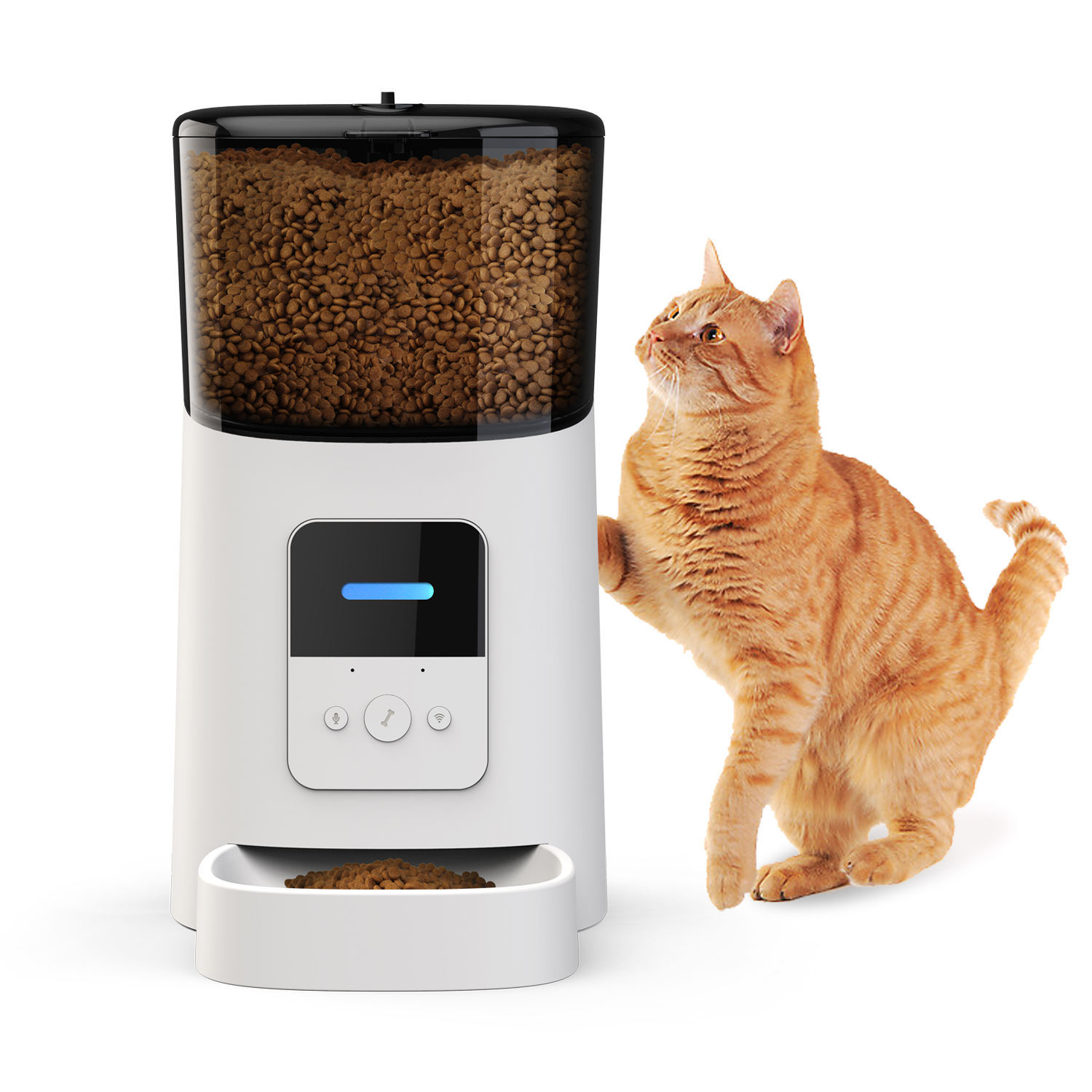 An application scenario or product detail of automatic pet feeder for cats - Image 12