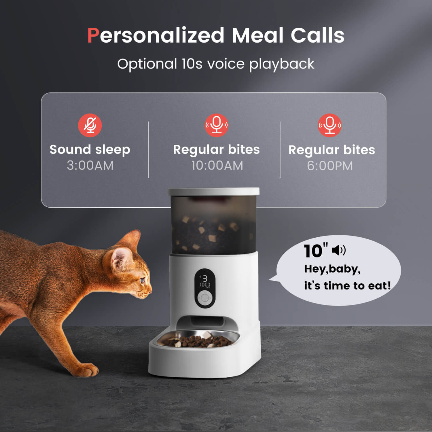 An application scenario or product detail of automatic pet feeder with app - Image 13