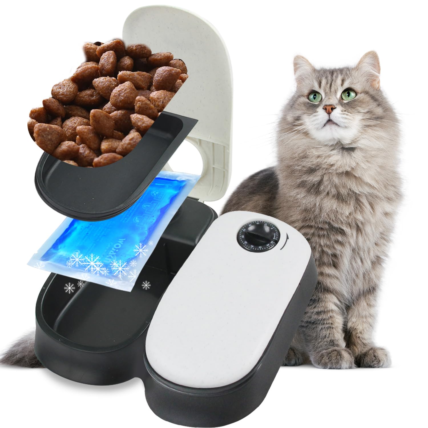 An application scenario or product detail of automatic pet feeder with timer - Image 8
