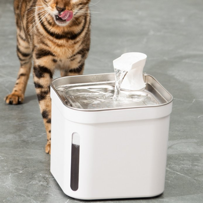 An application scenario or product detail of automatic water bowl cats - Image 19