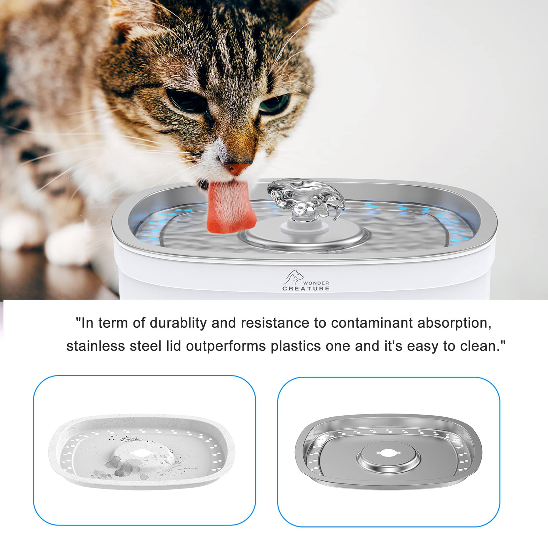 An application scenario or product detail of automatic water cat - Image 7