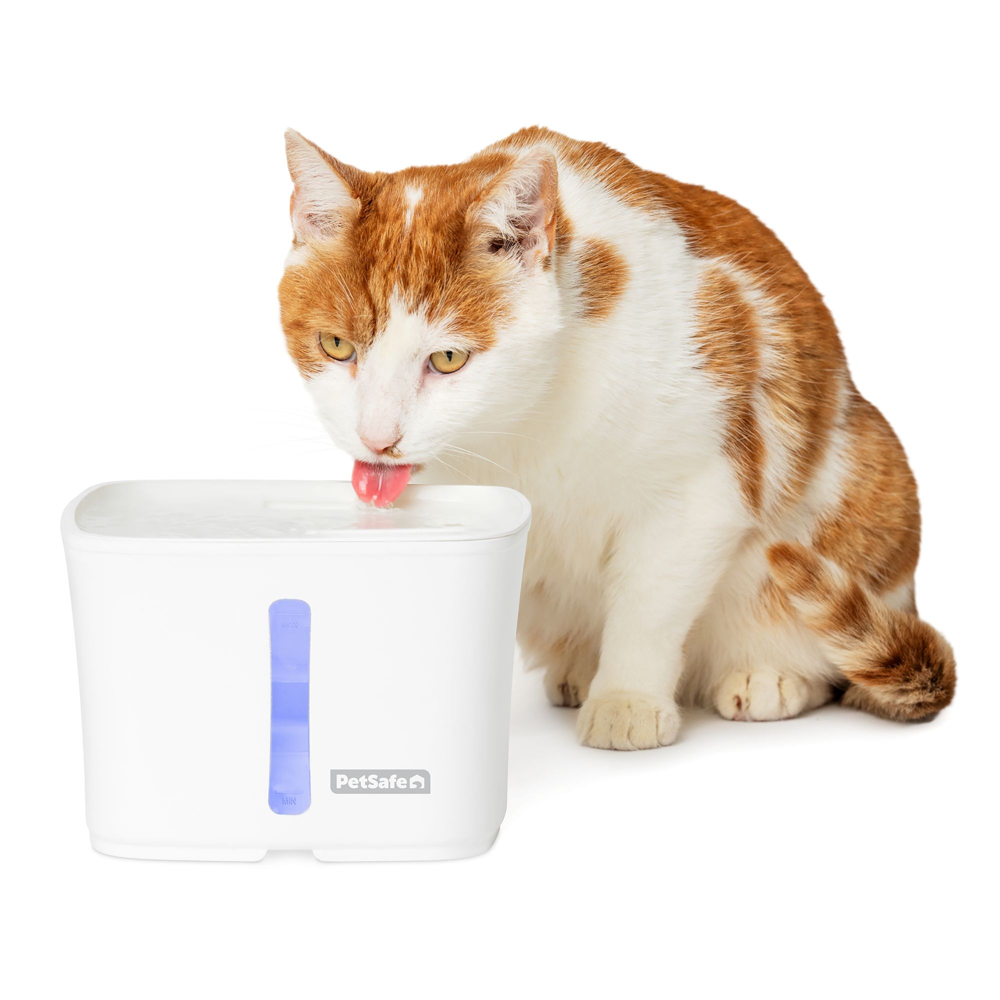 An application scenario or product detail of automatic water dispenser for cats - Image 17
