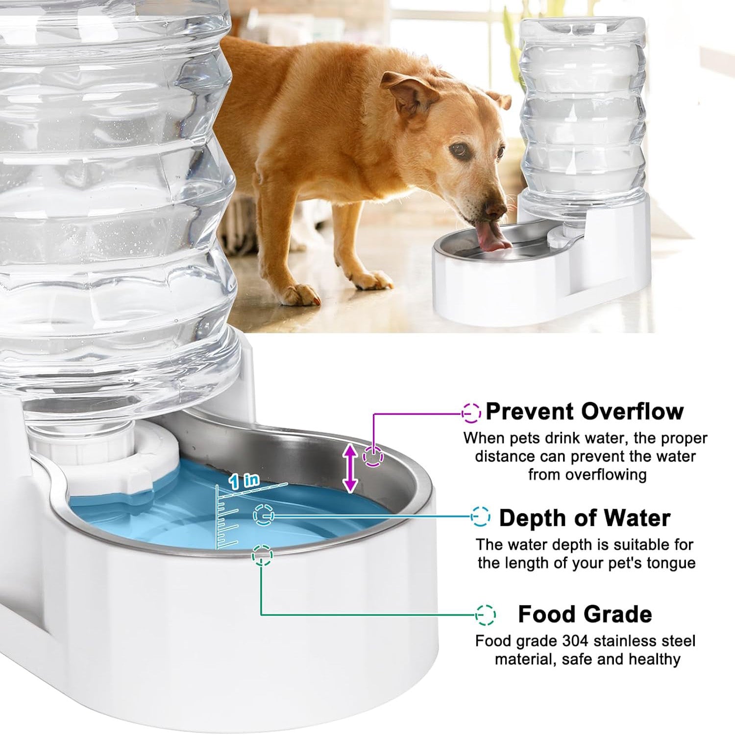 An application scenario or product detail of automatic water dispenser for dogs - Image 11
