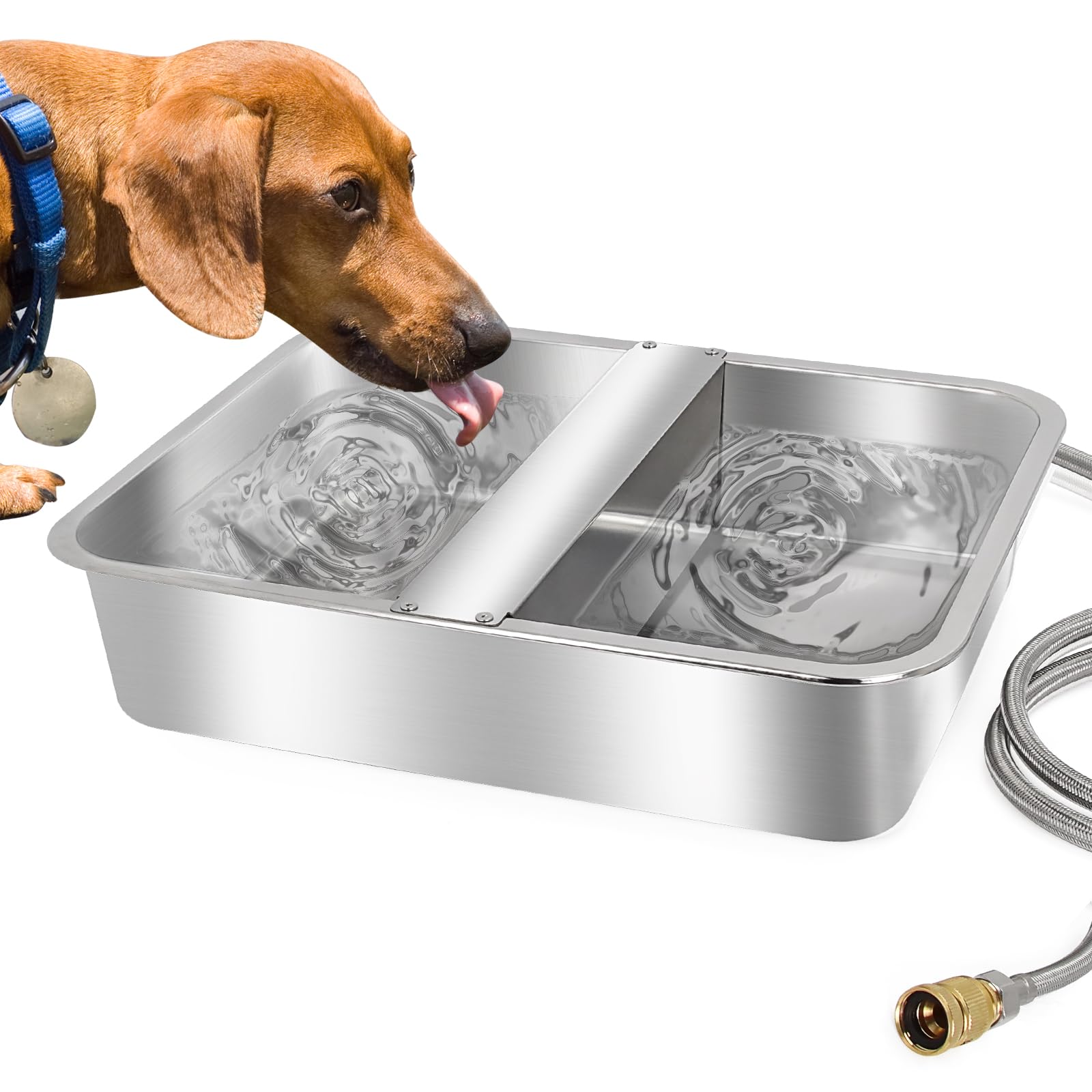 An application scenario or product detail of automatic water dispenser for dogs - Image 15
