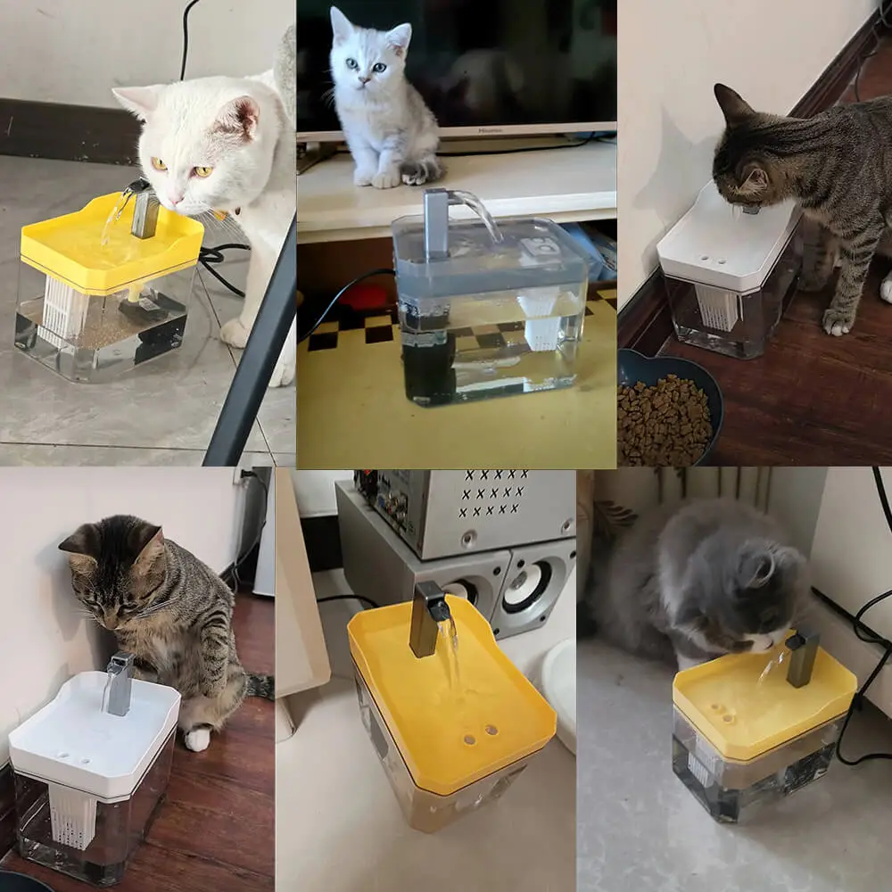 An application scenario or product detail of automatic water for cats - Image 14