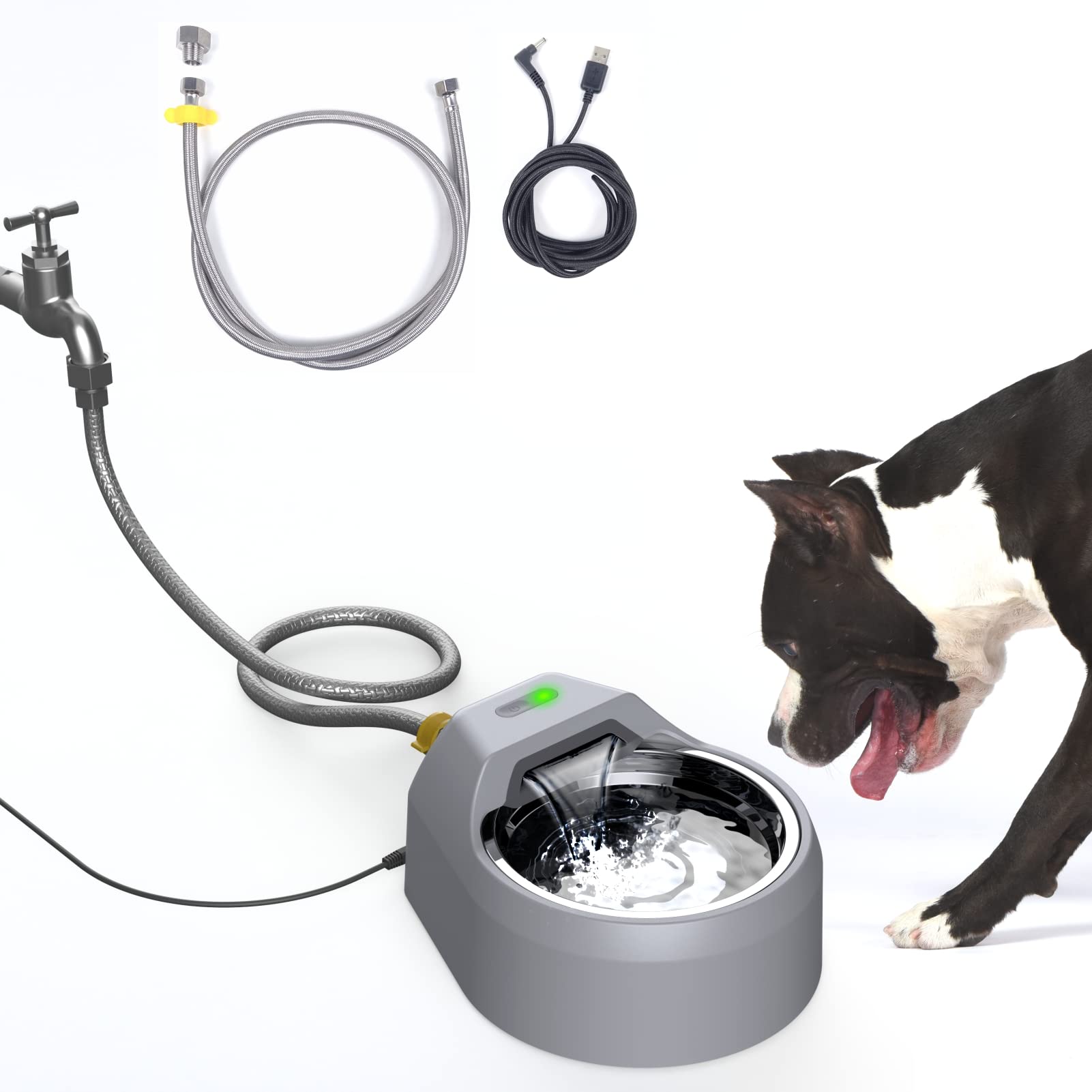 An application scenario or product detail of automatic water for dog - Image 21