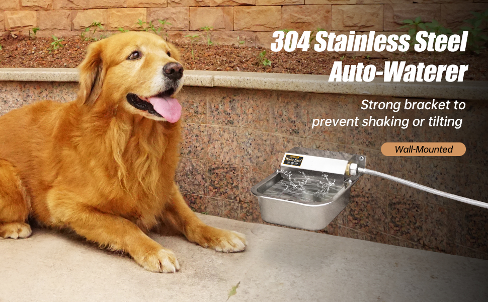 An application scenario or product detail of automatic water for dog - Image 24