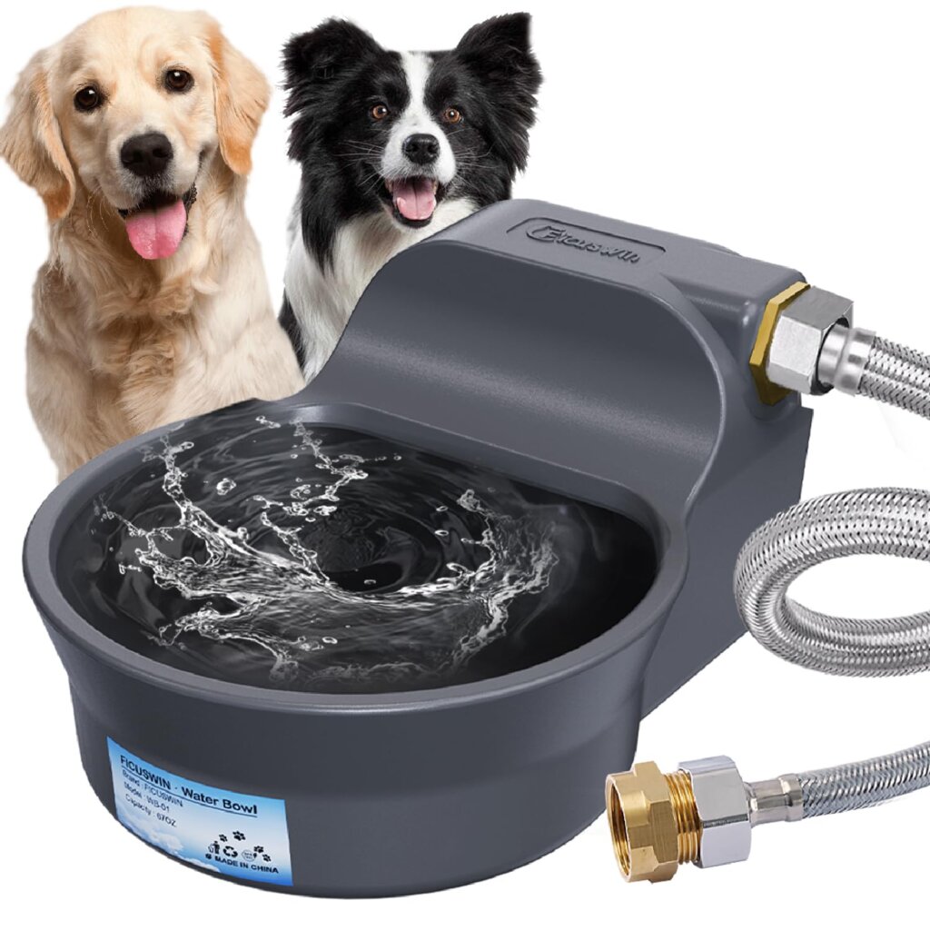 Featured image for the automatic water for dog guide