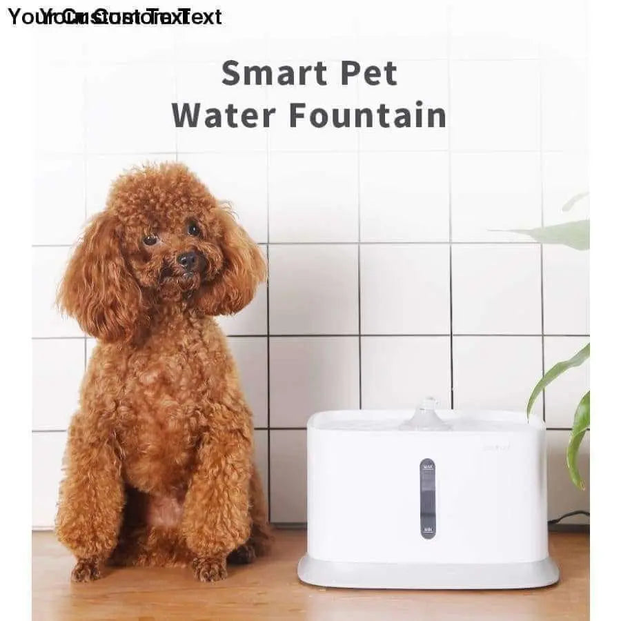 An application scenario or product detail of automatic water pet - Image 15