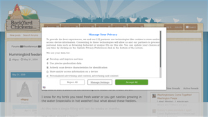 Backyard Chickens - Hummingbird Feeders