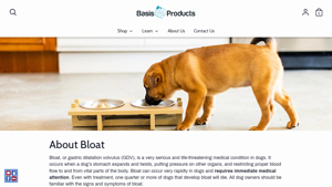 Basis Pet - Elevated Feeders