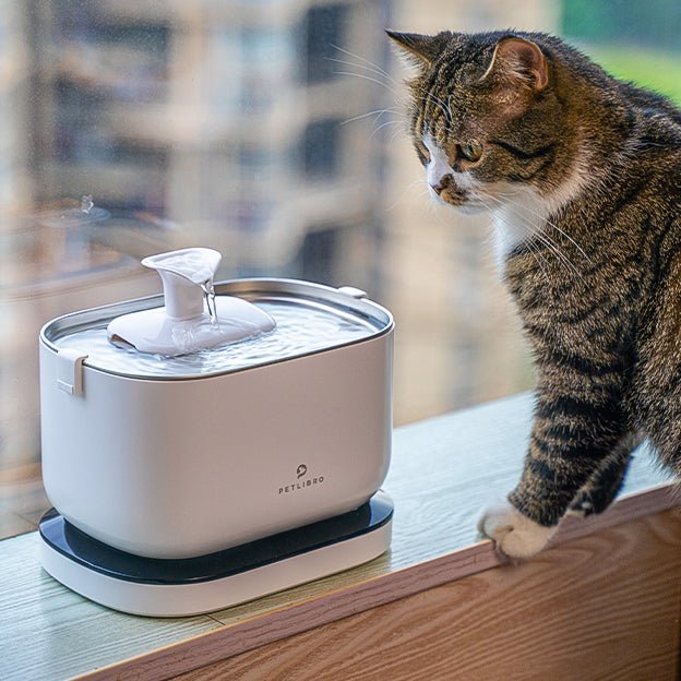 An application scenario or product detail of battery operated water bowl for cats - Image 9