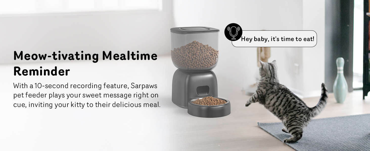 An application scenario or product detail of battery powered automatic cat feeder - Image 21