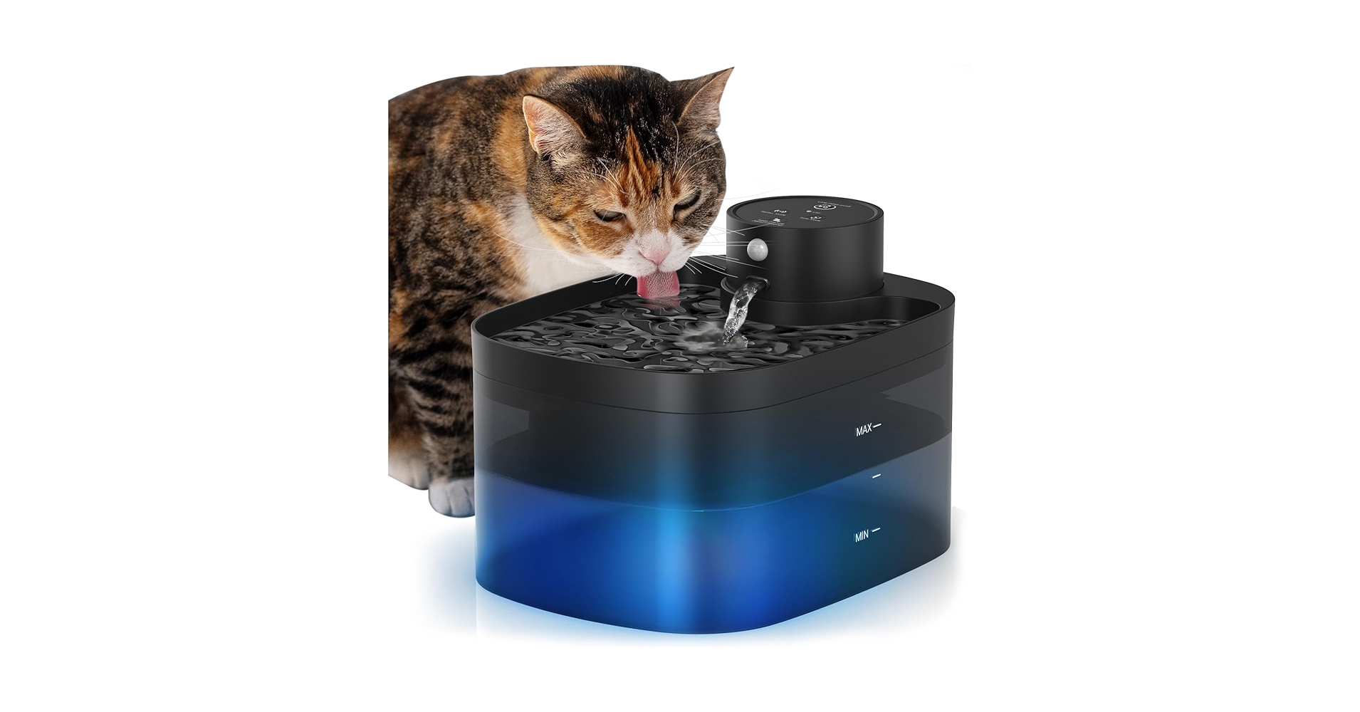 An application scenario or product detail of battery powered cat drinking fountain - Image 16