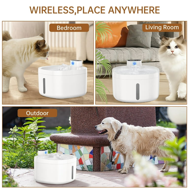 An application scenario or product detail of battery powered cat drinking fountain - Image 22