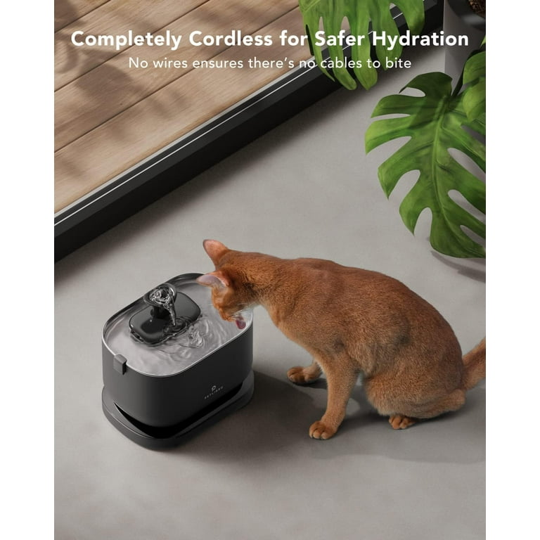 An application scenario or product detail of battery powered pet water fountain - Image 8