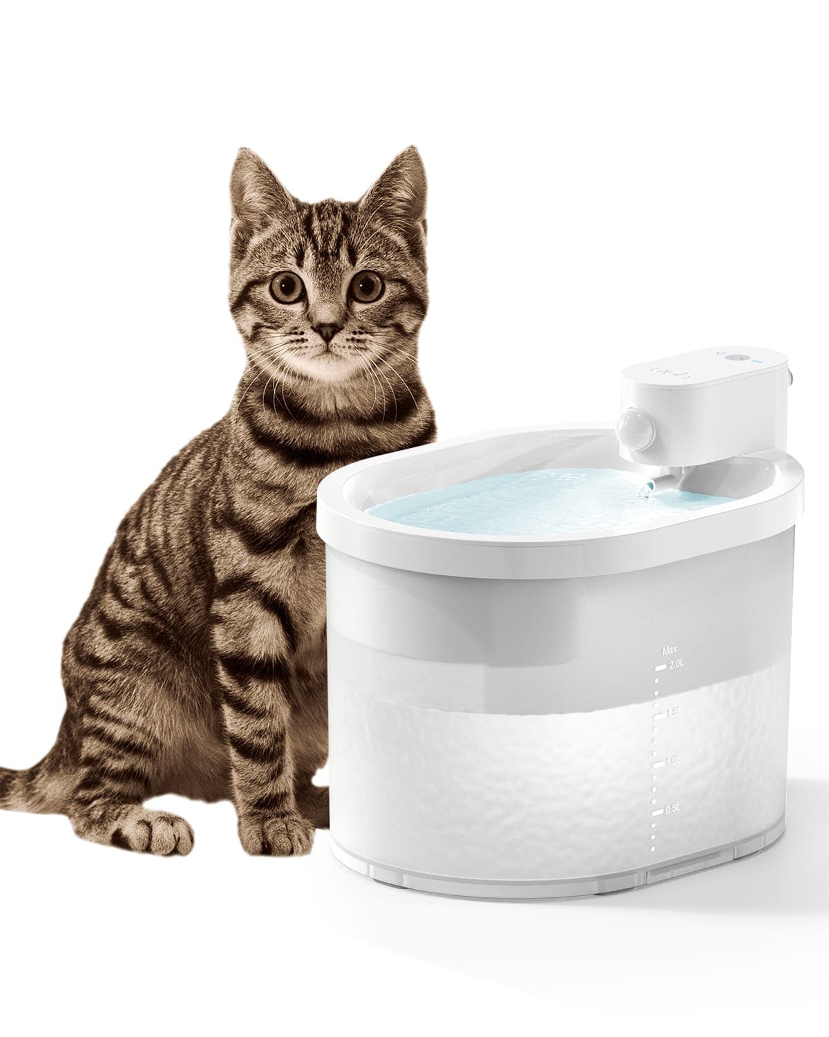 An application scenario or product detail of battery powered pet water fountain - Image 19