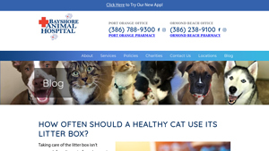 Bayshore - Cat Litter Health Guide